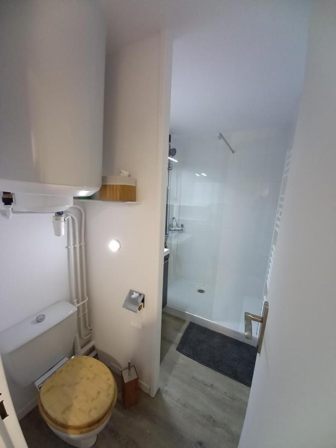 Appartement Cabine St-Lary-Soulan, Calme, Entierement Renove سانت لاري سولون المظهر الخارجي الصورة